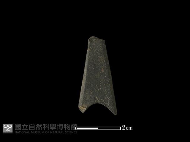 矛鏃形器藏品圖，第1張