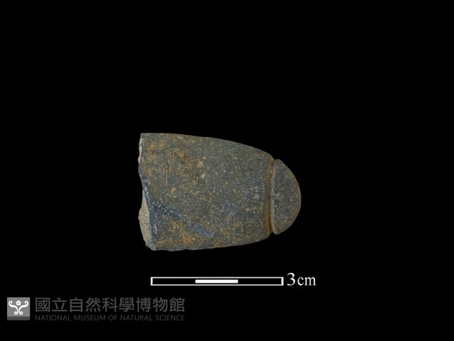 網墜藏品圖，第2張