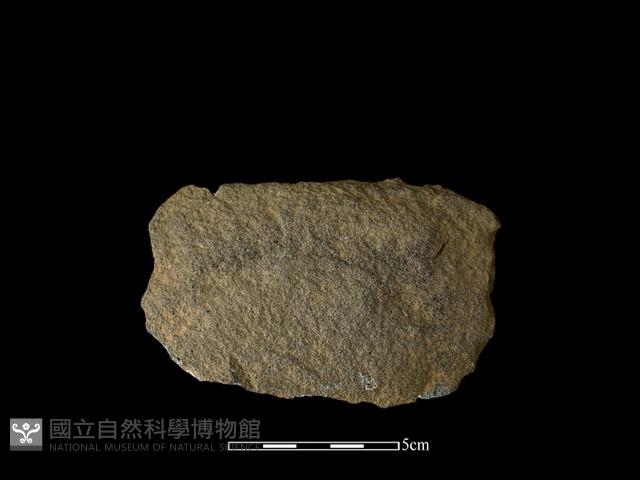 打製石器藏品圖，第1張