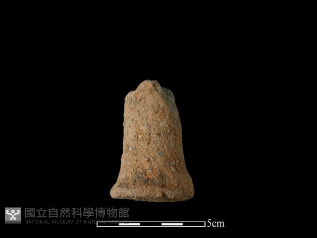 獸足藏品圖，第1張