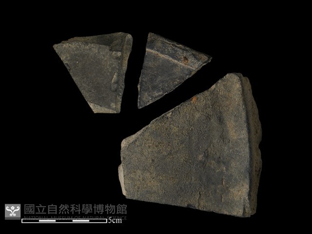 瓦片藏品圖，第2張