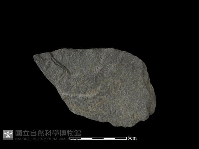 石片器藏品圖，第1張