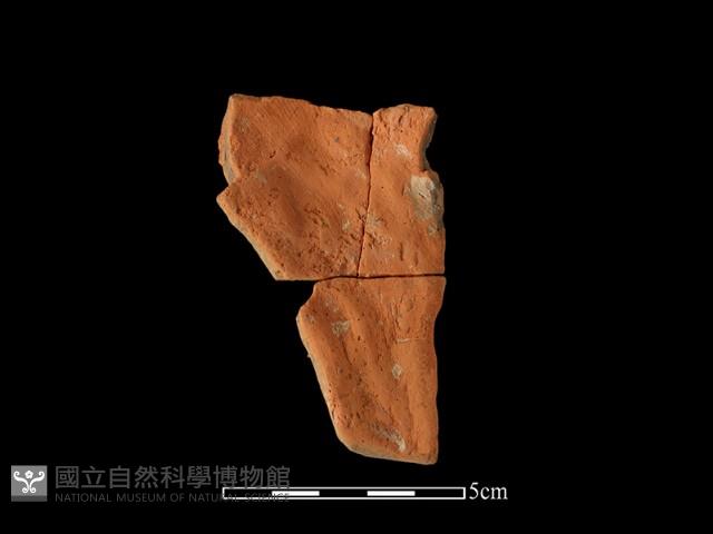 陶片藏品圖，第2張