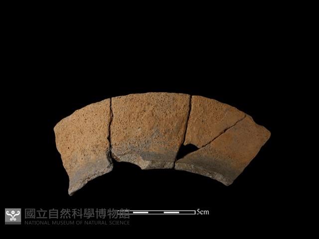 陶片藏品圖，第1張