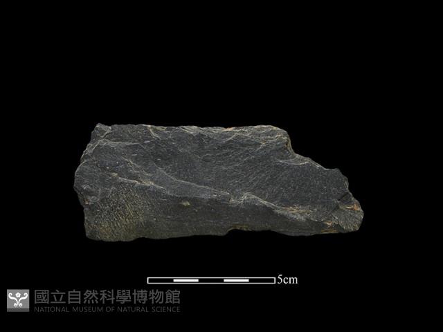 磨製有刃石器藏品圖，第1張
