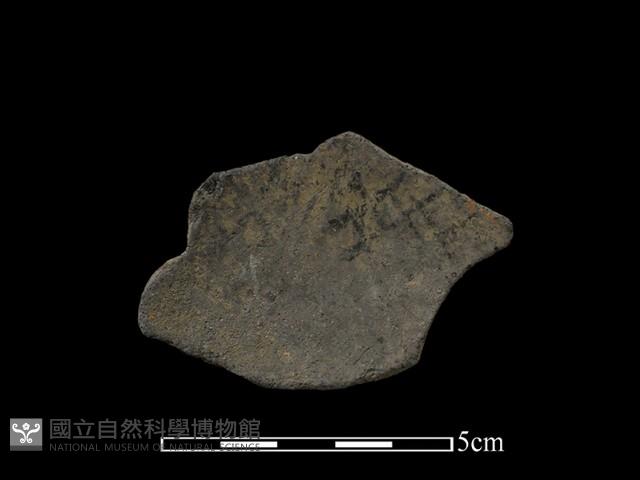 陶片藏品圖，第1張