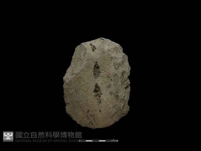 斧鋤形器藏品圖，第1張