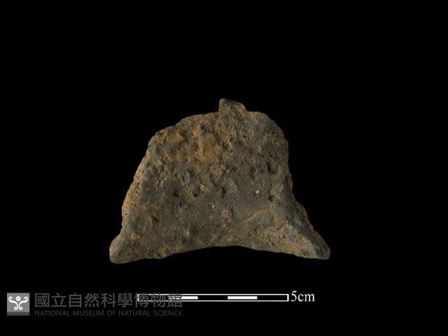 陶片藏品圖，第2張