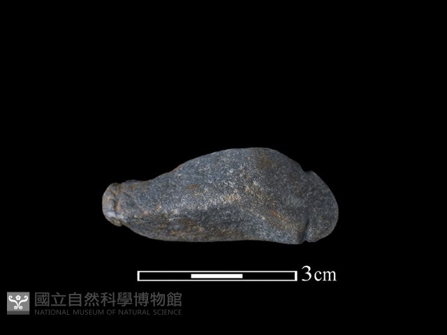 網墜藏品圖，第2張