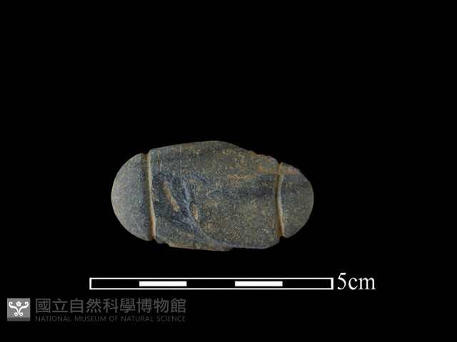 網墜藏品圖，第1張