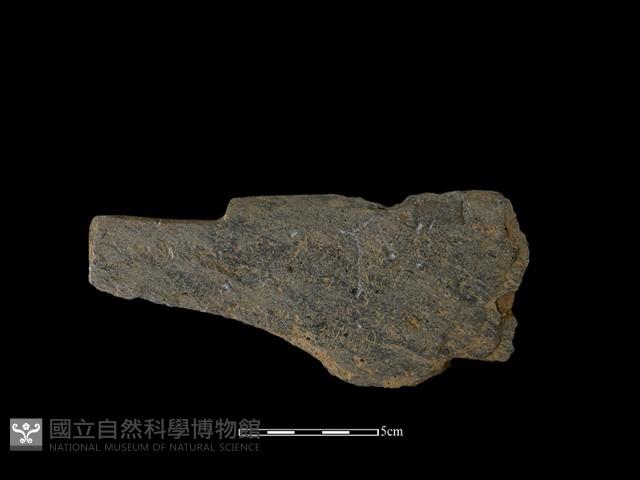 磨製有刃石器藏品圖，第2張