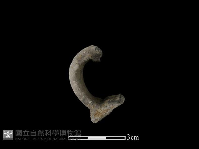 陶耳藏品圖，第2張