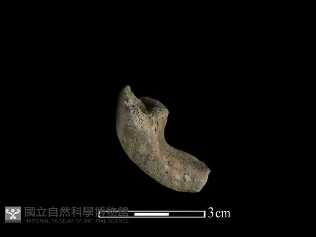 陶片藏品圖，第2張