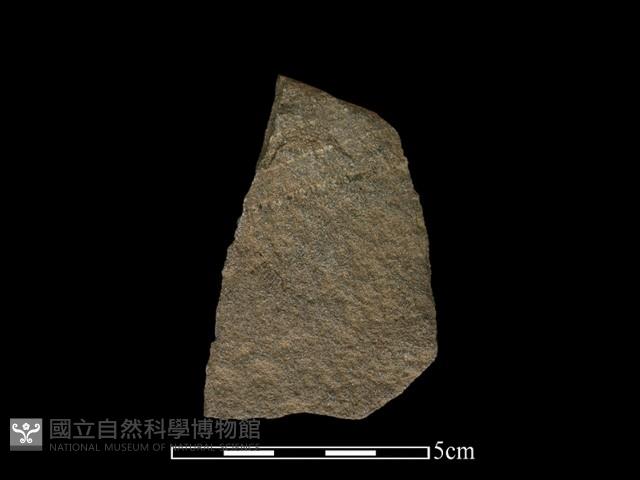 石片器藏品圖，第2張
