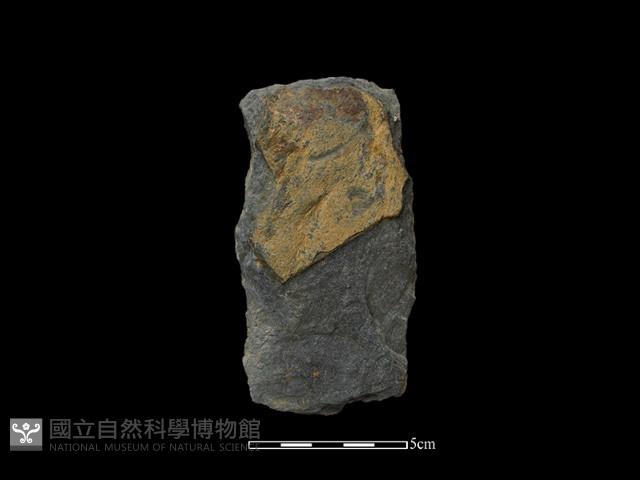 斧鋤形器藏品圖，第1張