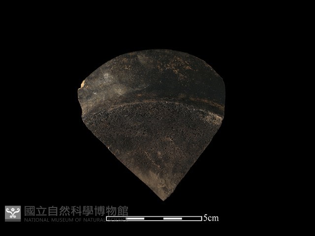 陶片藏品圖，第1張