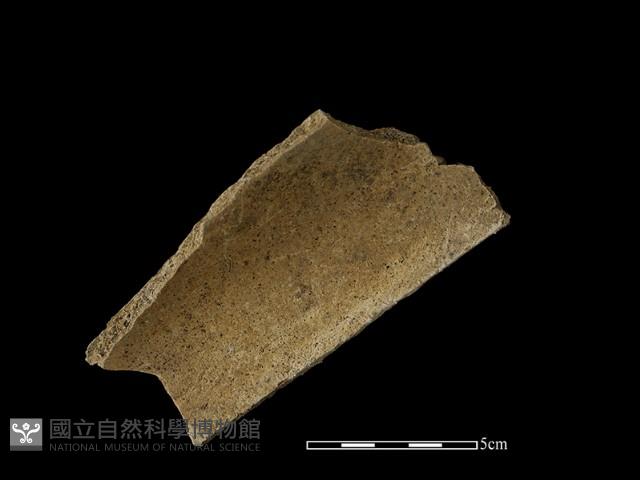 瓦片藏品圖，第1張