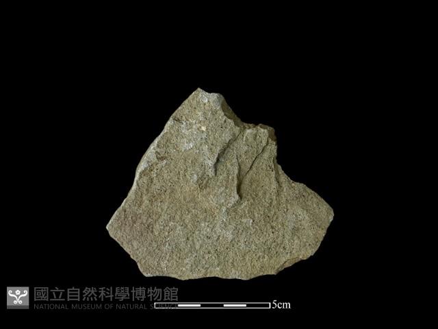 石片器藏品圖，第1張