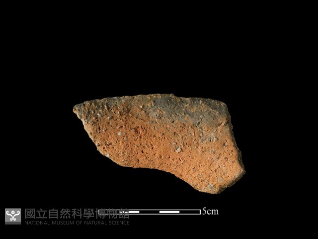 陶罐藏品圖，第2張