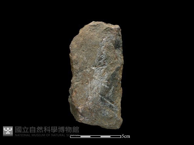 斧鋤形器藏品圖，第2張