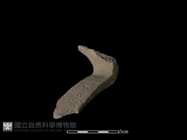 陶片藏品圖，第3張