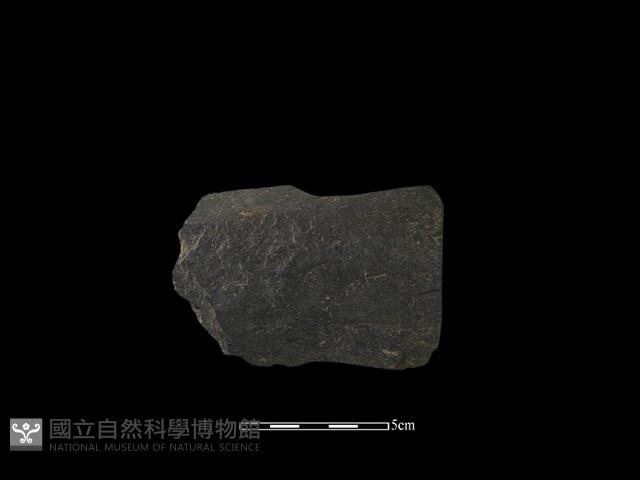 戈形器藏品圖，第1張
