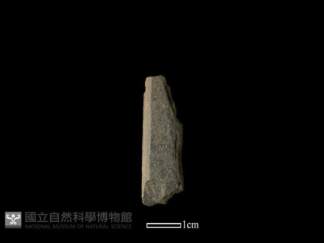 帶加工痕石材藏品圖，第2張