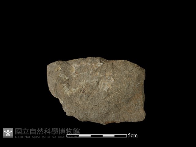 石片器藏品圖，第2張