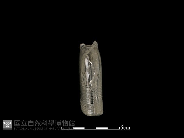 玻璃瓶藏品圖，第1張
