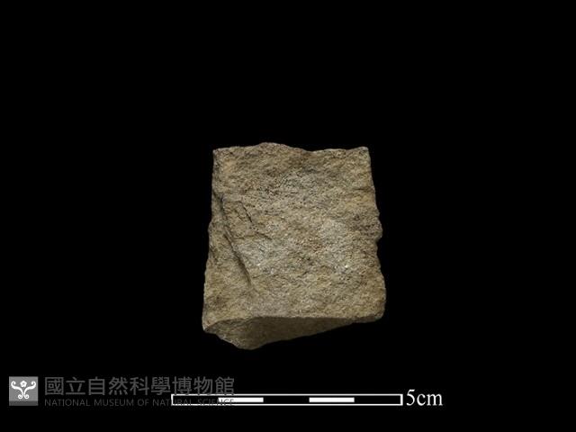 打製石器藏品圖，第2張