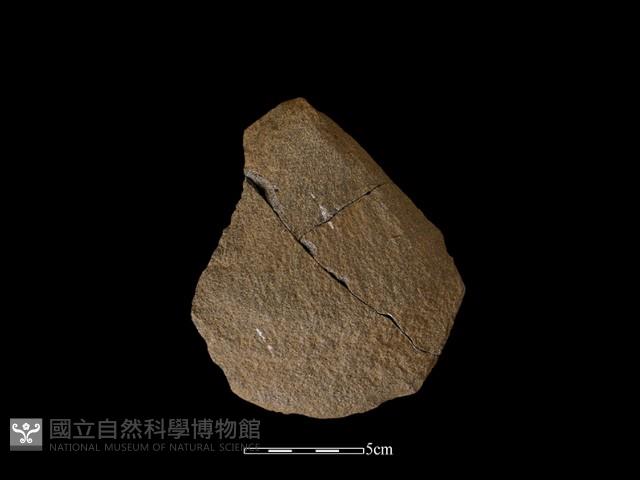 石片器藏品圖，第1張