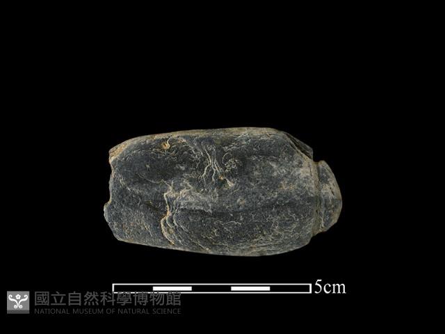 網墜藏品圖，第1張