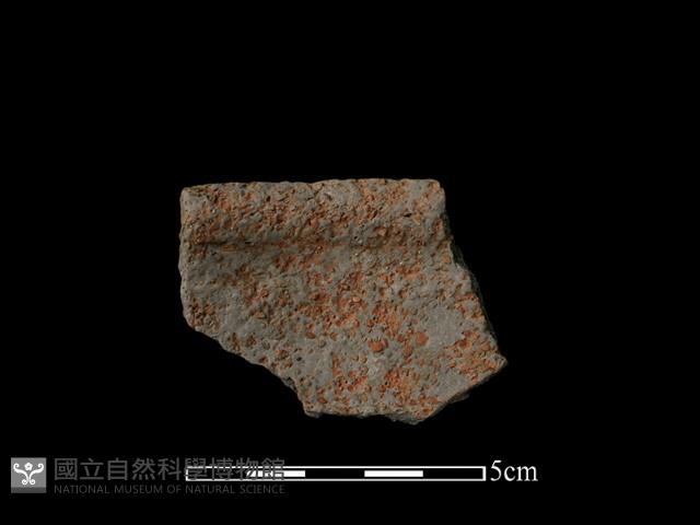 陶片藏品圖，第2張