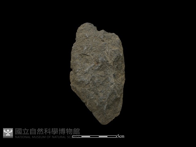 斧鋤形器藏品圖，第2張