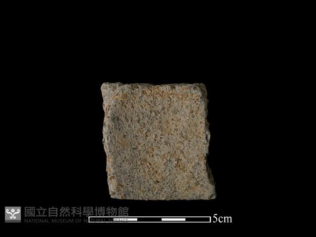 陶片藏品圖，第1張
