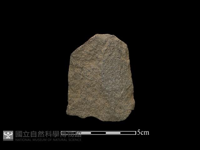 斧鋤形器藏品圖，第1張