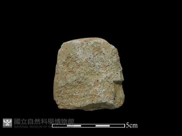 斧鋤形器藏品圖，第1張
