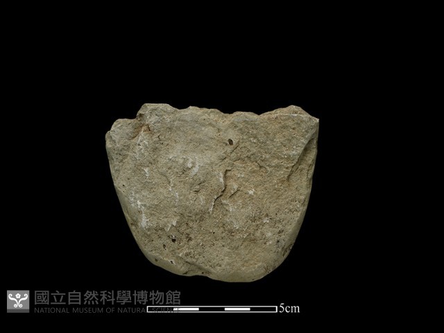 斧鋤形器藏品圖，第2張