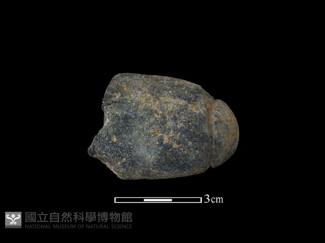 網墜藏品圖，第2張