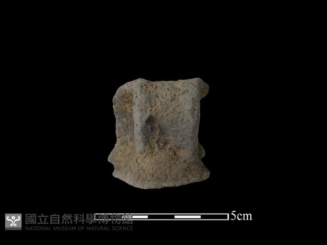 陶耳藏品圖，第2張
