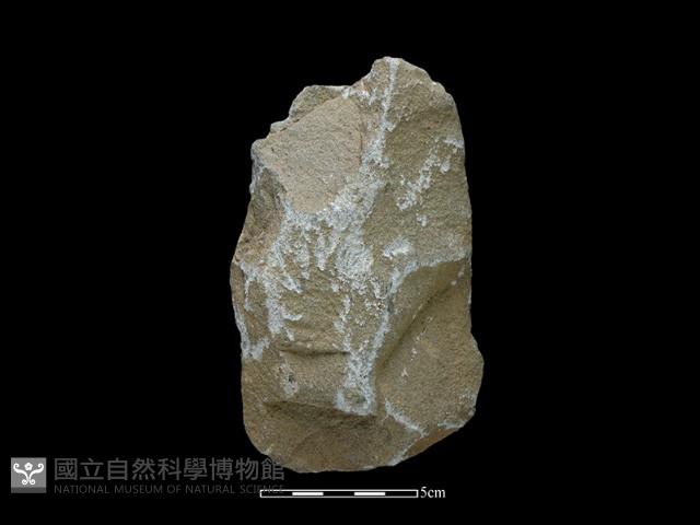 斧鋤形器藏品圖，第1張