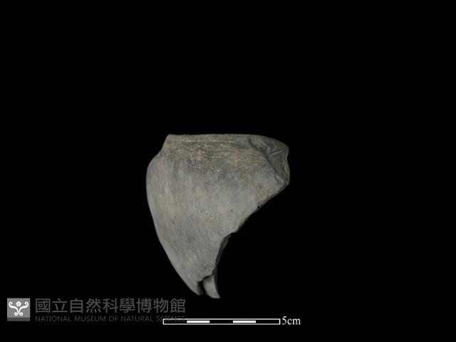 陶缽藏品圖，第2張
