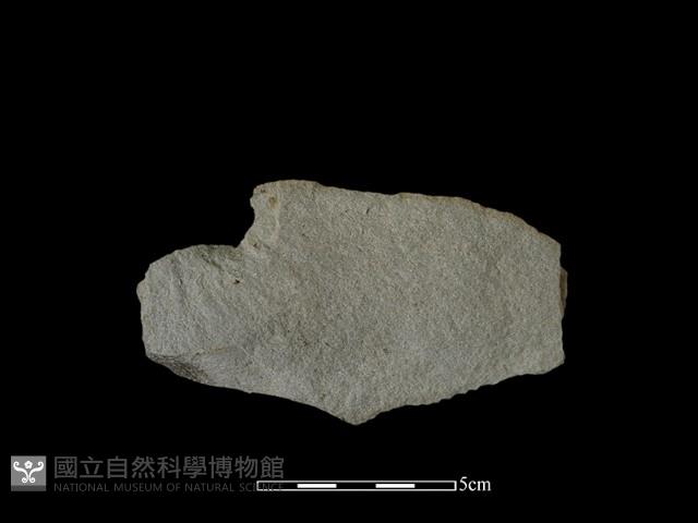 石片藏品圖，第1張