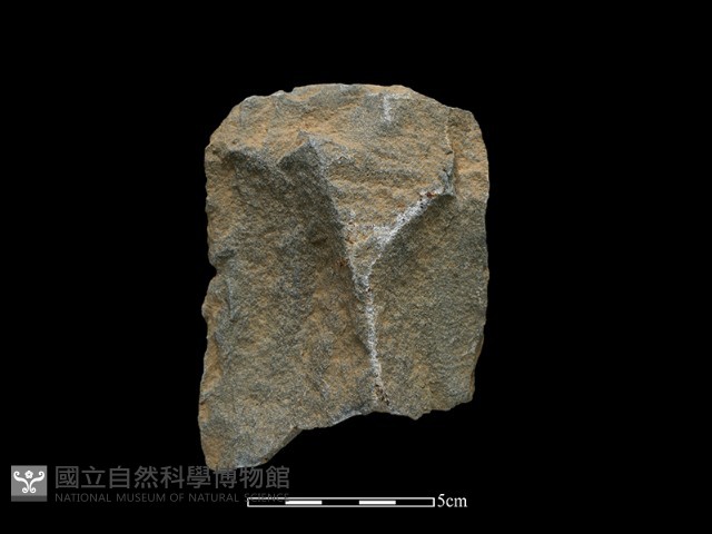 斧鋤形器藏品圖，第1張
