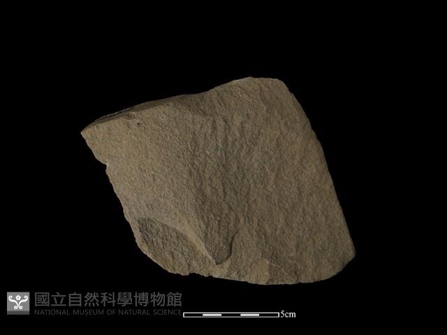 石片器藏品圖，第1張