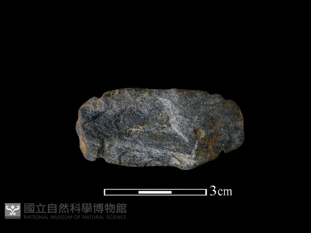 網墜藏品圖，第1張