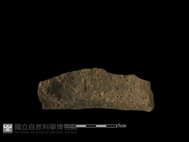 陶片藏品圖，第2張