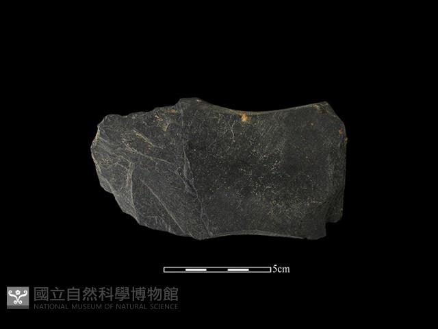 戈形器藏品圖，第1張