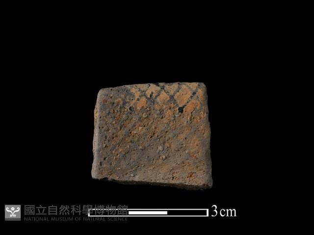 陶片藏品圖，第2張