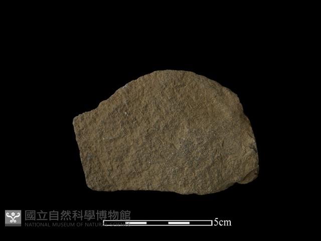 石片器藏品圖，第1張